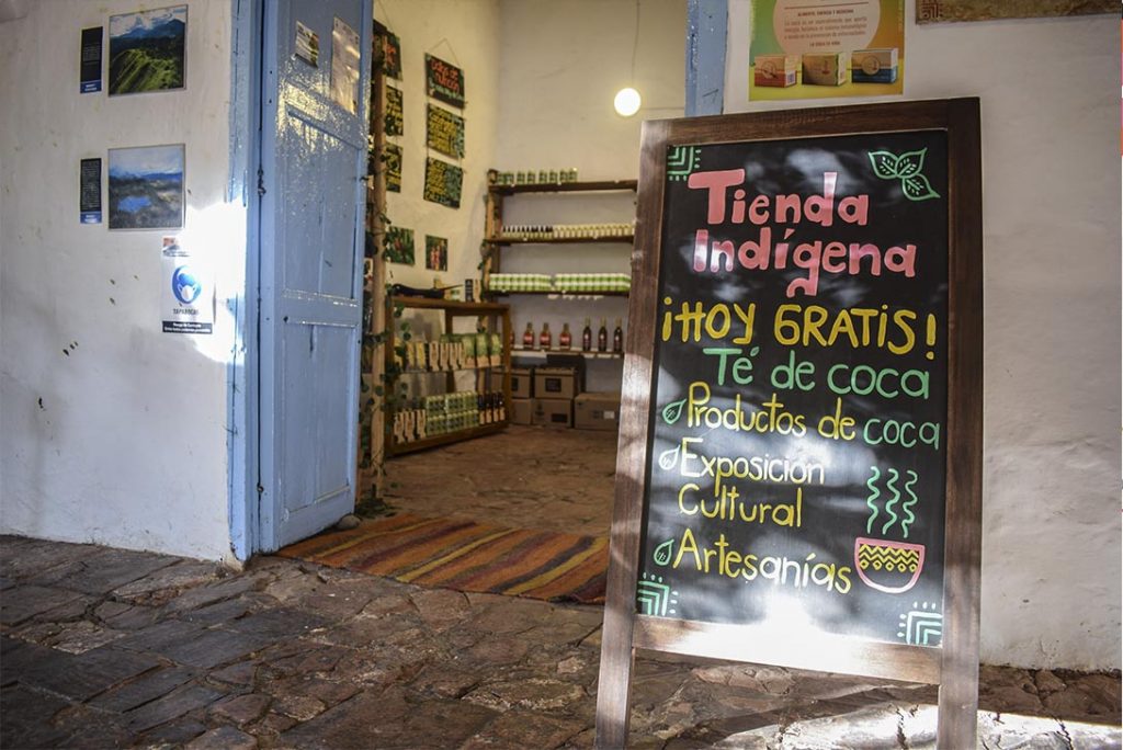 coca nasa villa de leyva