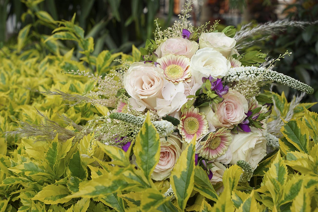 bodas en villa de leyva